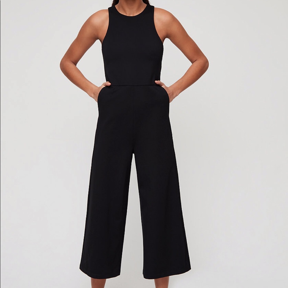Aritzia Babaton Mikey jumpsuit